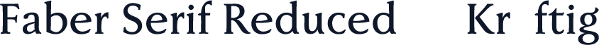 Faber Serif Reduced 65 Kräftig