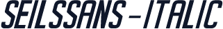 SeilsSans-Italic