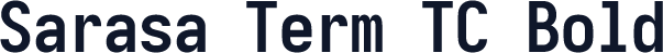 Sarasa Term TC Bold