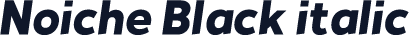 Noiche Black italic