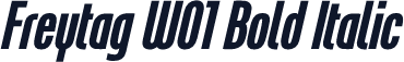 Freytag W01 Bold Italic