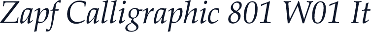 Zapf Calligraphic 801 W01 It