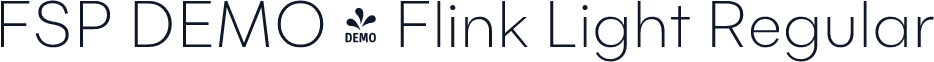 FSP DEMO - Flink Light Regular