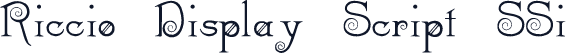 Riccio Display Script SSi