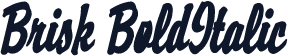 Brisk BoldItalic