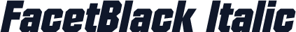 FacetBlack Italic