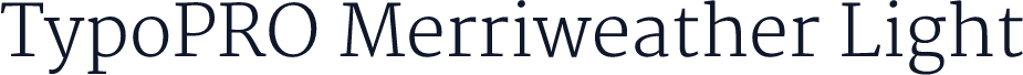 TypoPRO Merriweather Light