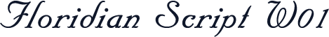 Floridian Script W01