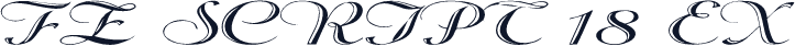 FZ SCRIPT 18 EX