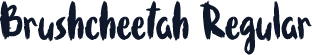 Brushcheetah Regular