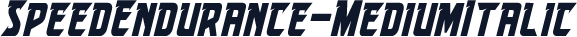 SpeedEndurance-MediumItalic