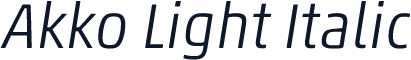 Akko Light Italic