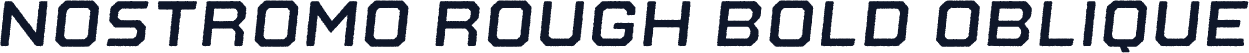 Nostromo Rough Bold Oblique