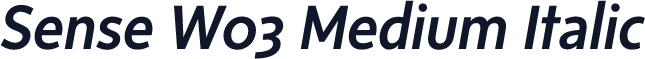 Sense W03 Medium Italic