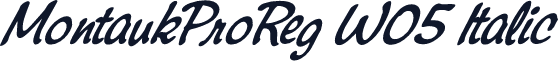 MontaukProReg W05 Italic