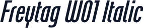 Freytag W01 Italic
