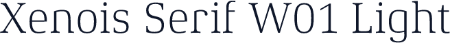 Xenois Serif W01 Light