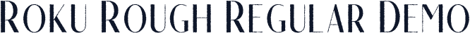 Roku Rough Regular Demo