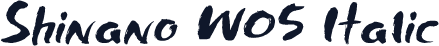 Shinano W05 Italic