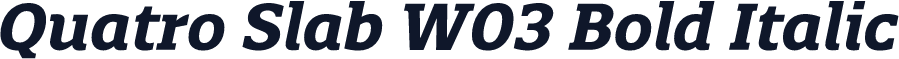Quatro Slab W03 Bold Italic