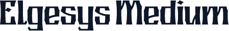 Elgesys Medium