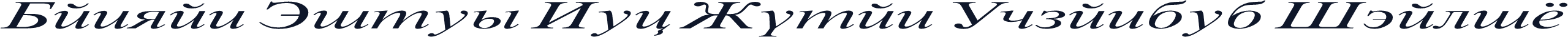 Danzan Times New Roman Expanded Italic
