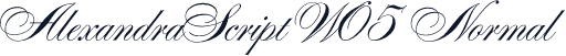 AlexandraScript W05 Normal