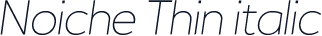 Noiche Thin italic