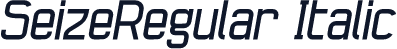 SeizeRegular Italic