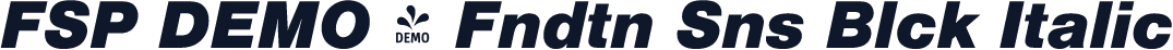 FSP DEMO - Fndtn Sns Blck Italic