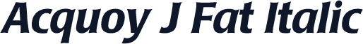 Acquoy J Fat Italic