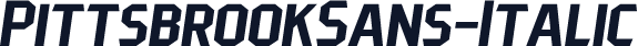 PittsbrookSans-Italic
