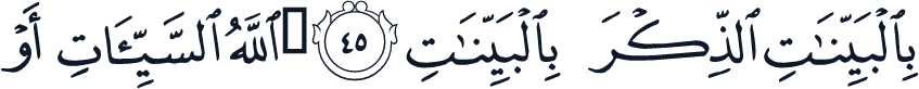 QCF_P272