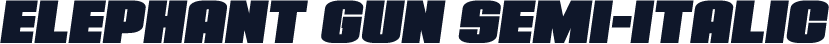 Elephant Gun Semi-Italic