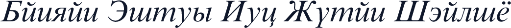 Danzan Times New Roman Italic