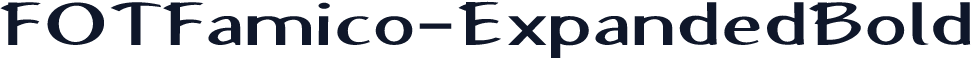 FOTFamico-ExpandedBold