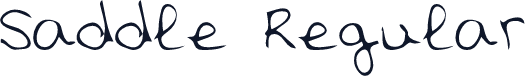 Saddle Regular