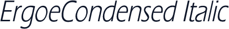 ErgoeCondensed Italic