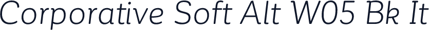 Corporative Soft Alt W05 Bk It