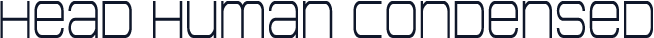Head Human Condensed