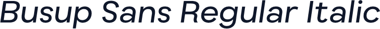 Busup Sans Regular Italic