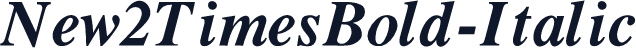 New2TimesBold-Italic