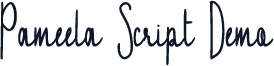 Pameela Script Demo