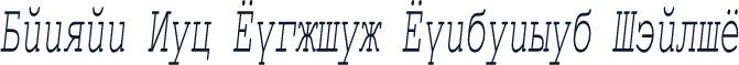 Danzan New Courier Condensed Italic
