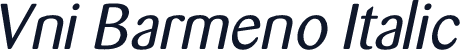 Vni Barmeno Italic