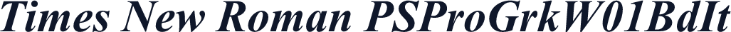 Times New Roman PSProGrkW01BdIt