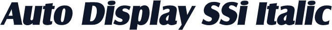 Auto Display SSi Italic