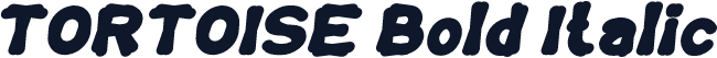 TORTOISE Bold Italic
