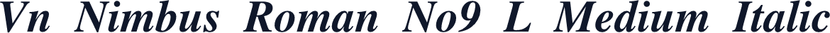 Vn Nimbus Roman No9 L Medium Italic