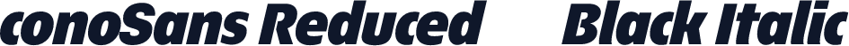 ÉconoSans Reduced 96 Black Italic